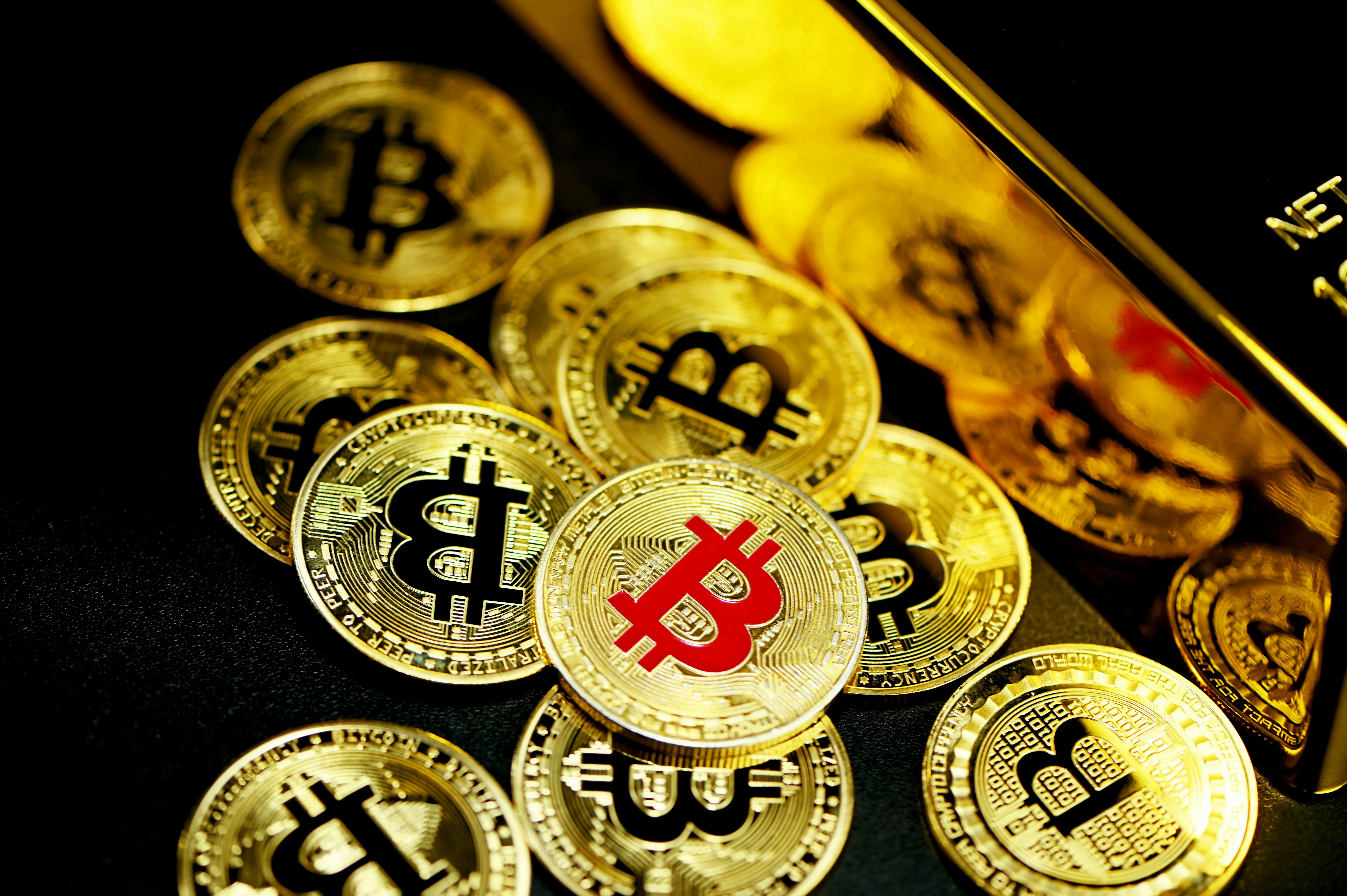 Hình ảnh các loại cá khác nhau trong game bắn cá ox bet