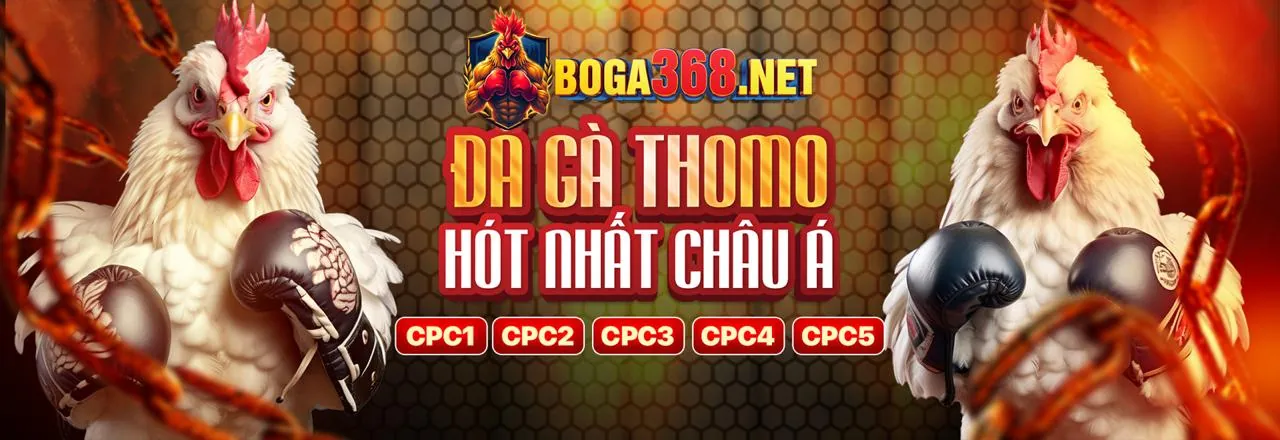 Đá gà kịch tính tại u88